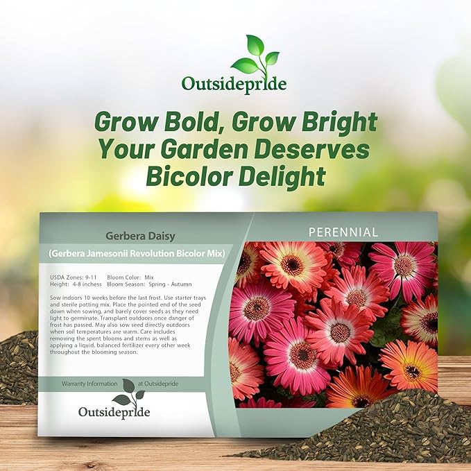Outsidepride Bicolor Mix Gerbera Seeds - 10 Pcs Perennial, Compact & Low Maintenance, Flower Seeds for Planting w/Vibrant Mixed Blooms, Ideal for Garden Landscaping & Cut Flower Arrangements
