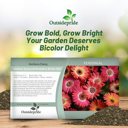 Outsidepride Bicolor Mix Gerbera Seeds - 10 Pcs Perennial, Compact & Low Maintenance, Flower Seeds for Planting w/Vibrant Mixed Blooms, Ideal for Garden Landscaping & Cut Flower Arrangements