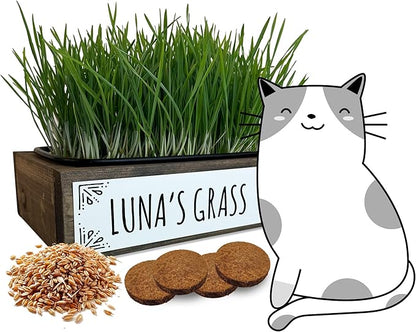 Whetagrass Kits (Wheatgrass Grow Kit - Custom Box)