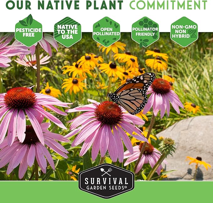 Survival Garden Seeds - Common Sunflower (Helianthus annuus) Seeds for Planting | Giant Bird & Pollinator Magnet | Fast-Growing Native Wildflower - 1 Pack