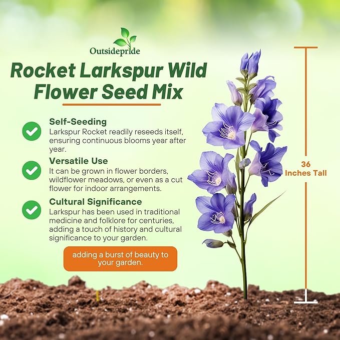Outsidepride Mixed Rocket Larkspur Seeds for Planting Outdoors - 1000 Pcs Annual, Self-Seeding, Heat & Drought Tolerant Wildflower Seeds for Cut Flower Arrangements & Pollinator Gardens