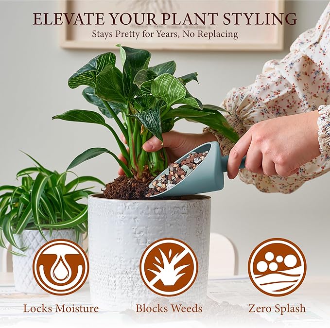 10LB Lava Rocks for Plants-3/8 Volcanic Rock for Succulent Potting Mix, Cactus, Orchids & Bonsai-Porous Horticultural Grit for Drainage, Aeration & pH Balance - Decorative Top Dressing