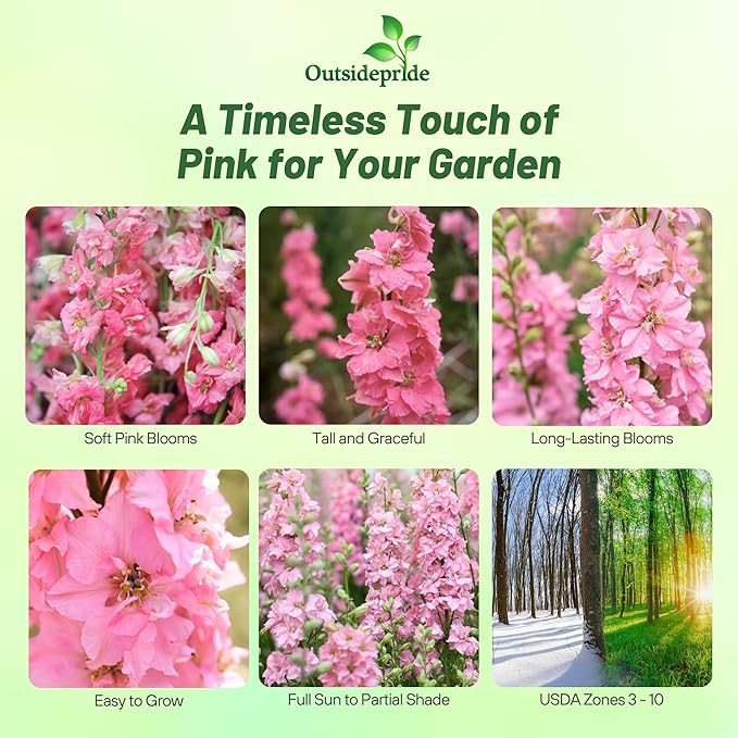 Outsidepride Delphinium Pink Larkspur Seeds for Planting Outdoors - 1000 Pcs Annual, Self-Seeding, Heat & Drought Tolerant Wildflower Seeds, Colorful Blooms for Flower Arrangement & Pollinator Garden