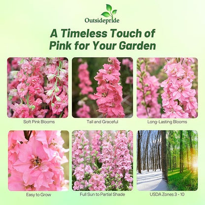 Outsidepride Delphinium Pink Larkspur Seeds for Planting Outdoors - 1000 Pcs Annual, Self-Seeding, Heat & Drought Tolerant Wildflower Seeds, Colorful Blooms for Flower Arrangement & Pollinator Garden