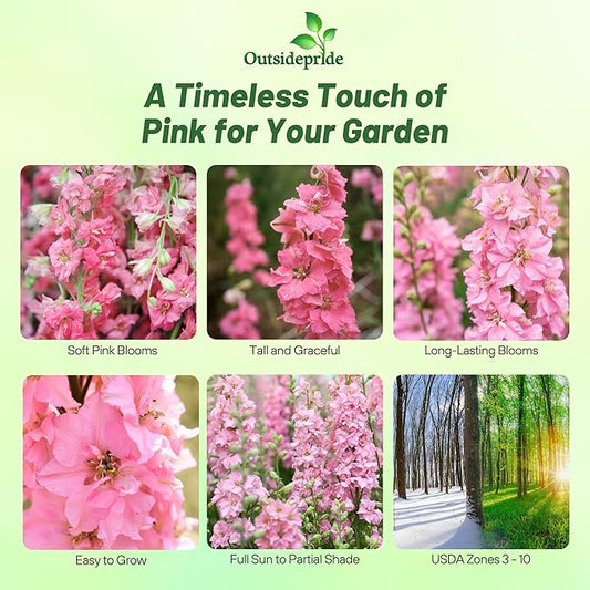 Outsidepride Delphinium Pink Larkspur Seeds for Planting Outdoors - 2000 Pcs Annual, Self-Seeding, Heat & Drought Tolerant Wildflower Seeds, Colorful Blooms for Flower Arrangement & Pollinator Garden