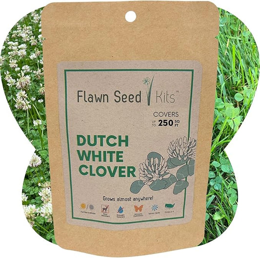 Organic Dutch White Clover Seed (Dutch White Clover, 250 SqFt 1.1 Oz)