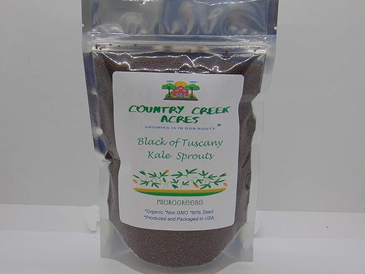 Black of Tuscany Kale, 100 Seeds,Non-GMO Garden Seeds by Country Creek Acres