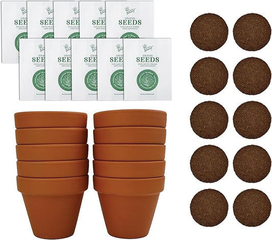 BUZZY Sunflower Seeds & Genuine Terracotta 7cm Pot Bulk Pack (10 Count), Includes 10 Each pots, Soil pellets, Seed Packs - Great for Favors, Crafts, School Projects, Starter Kits - Guaranteed to Grow