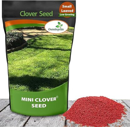 Outsidepride Perennial White MiniClover Seed - 1/4 lb. Dwarf, Small-Leaved, Drought & Wear-Tolerant Micro Clover Seeds for Lawn, Ideal Low-Maintenance & Easy to Grow Ground Cover Seeds for Home Yard