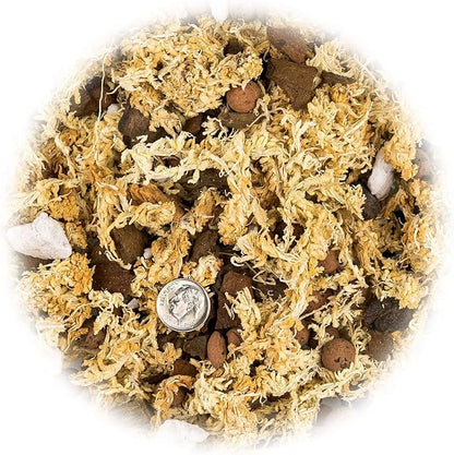 Premium Phalaenopsis Imperial Orchid Potting Mix - Hand Mixed in Small Batches | Great for Phalaenopsis of All Kinds - by GARDENERA - 4 Quart Bag