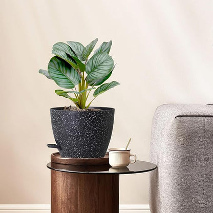 10 inch Self Watering Pots, Planter, Plant Pots with Mesh Drainage Holes for Indoor Outdoor House Plants and Garden, Pack of 2 Plastic Flower Pots with Deep Reservoir, Speckled Black