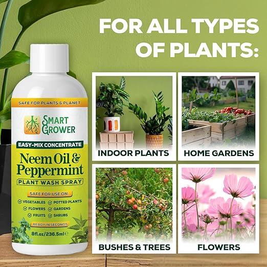 Neem Oil Spray for Plants with Peppermint Oil – for Indoor & Outdoor Plants, Gardens, & Houseplants– Best Value Refill 8 oz Concentrate Makes 1 Gallon RTU