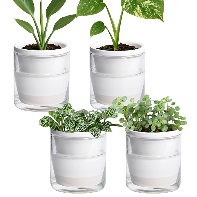 D'vine Dev 4 Inch Design Self Watering Planter for Indoor Plants, White Terracotta Pots with Cylinder Glass Cup, Set of 4, 37-Z-A-2-F