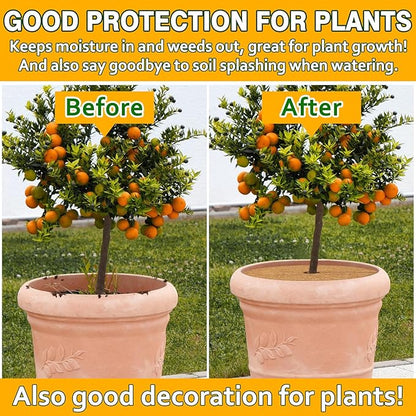 ZeeDix 3 Pack Coconut Fiber Mulch Ring, 24 Inch Coco Coir Tree Ring Mulch Mat, 100% Natural Tree Protector Mat Plant Cover Ring Coconut Coir Discs Tree Mats Mulch Rings for Indoor Outdoor Trees Plants