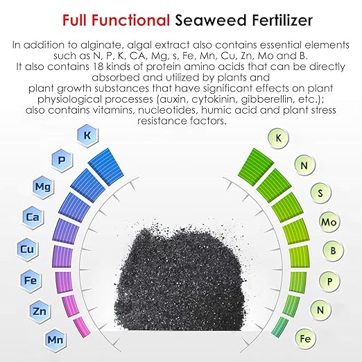 Seaweed Extract, 100% Water-Soluble granular Organic high-Efficiency Fertilizer, Used for Plants, Gardens, and Agriculture(400g/14.1oz)