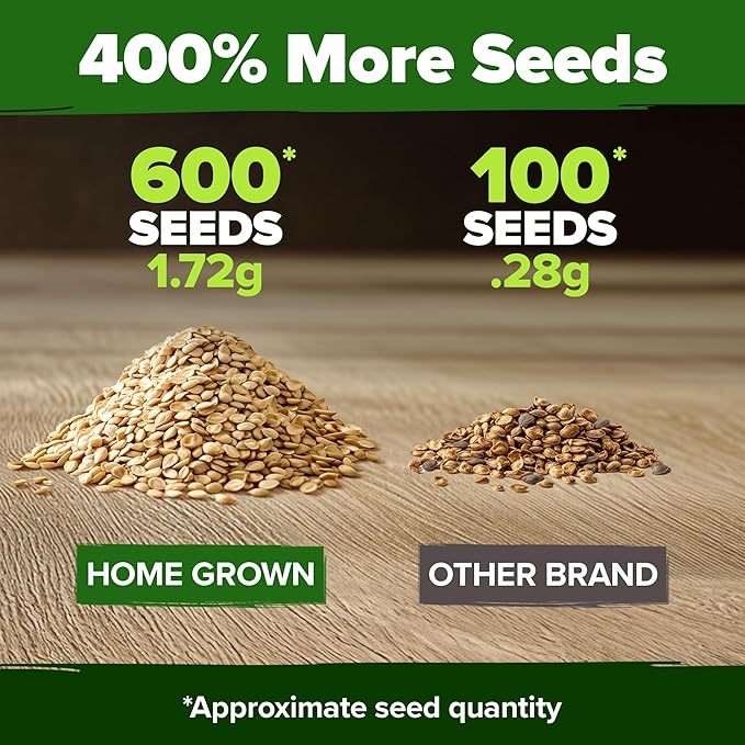 HOME GROWN Heirloom Tomato Seed Collection – Beefsteak & Large Red Cherry (1100+ Non-GMO Seeds for High-Yield Gardening) Solanum lycopersicum