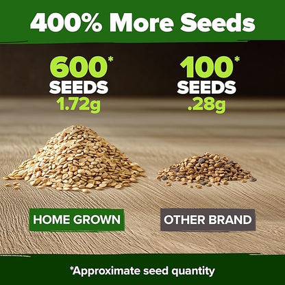 HOME GROWN Heirloom Tomato Seed Collection – Beefsteak & Large Red Cherry (1100+ Non-GMO Seeds for High-Yield Gardening) Solanum lycopersicum