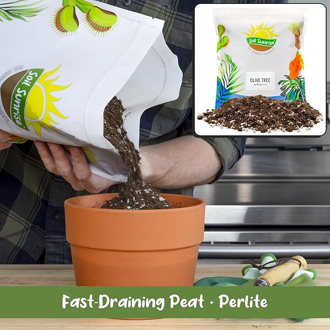 Soil Sunrise Olive Tree Potting Soil Mix (12 Quarts) for Planting, Repotting, and Growing Olive Bushes/Plants