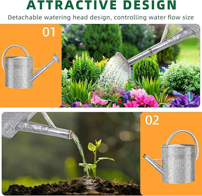 2.5 Gallon Metal Watering Can, Galvanized Watering Can for Outdoor Indoor Plants, Large Water Can for Plants and Garden Flower