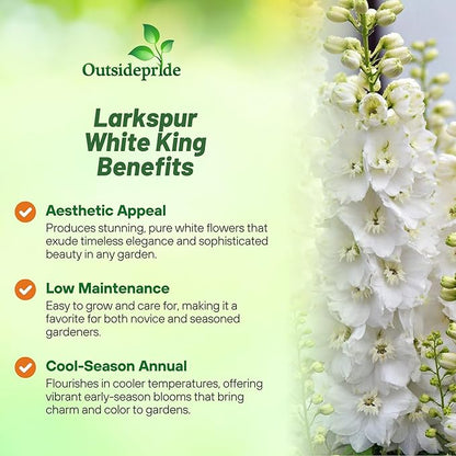 Outsidepride Delphinium White Larkspur Seeds for Planting Outdoors - 1000 Pcs Annual, Self-Seeding, Heat & Drought Tolerant Wildflower Seed, Colorful Blooms for Flower Arrangement & Pollinator Garden