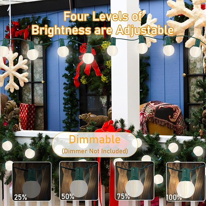 G40 25FT LED Outdoor Christmas String Lights,Frosted Globe Lights with 27 (2 Spare) Plastic Shatterproof Round Bulbs