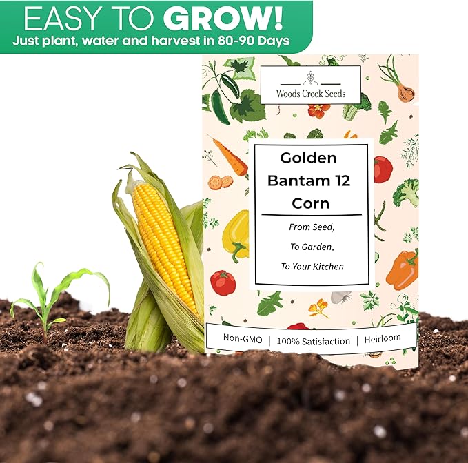 Woods Creek Seeds: Golden Bantam 12 Sweet Corn Seeds for Planting - Heirloom Sweet Corn Seed with Tender Yellow Kernels - Non-GMO, Open-Pollinated, Seed Pack for Field and Home Gardening