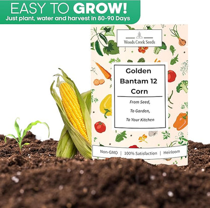 Woods Creek Seeds: Golden Bantam 12 Sweet Corn Seeds for Planting - Heirloom Sweet Corn Seed with Tender Yellow Kernels - Non-GMO, Open-Pollinated, Seed Pack for Field and Home Gardening