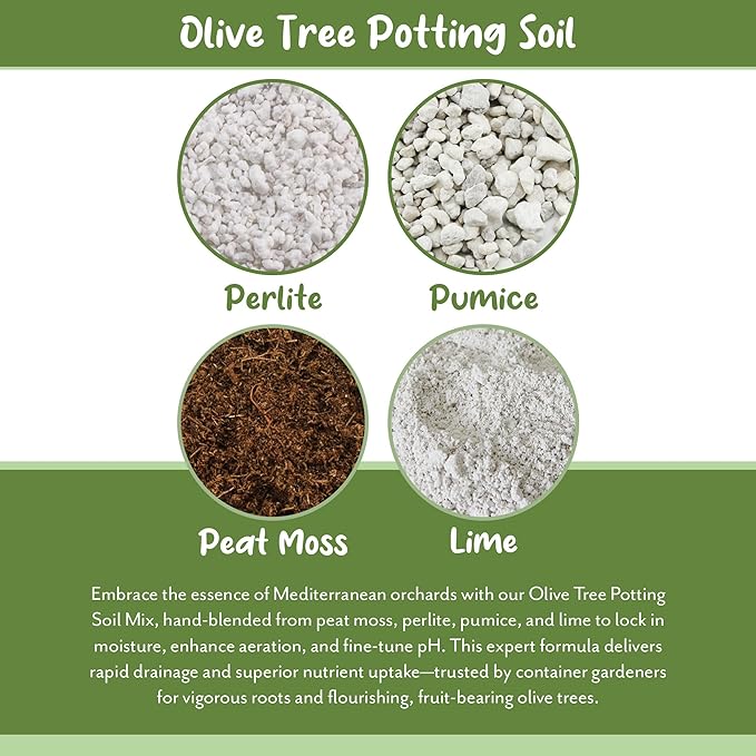 Soil Sunrise Olive Tree Potting Soil Mix (12 Quarts) for Planting, Repotting, and Growing Olive Bushes/Plants