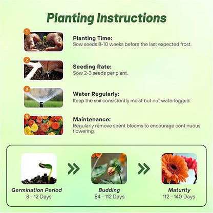 Outsidepride Autumn Colors Mix Gerbera Seeds - 10 Pcs Perennial, Compact & Low Maintenance, Flower Seeds for Planting w/Vibrant Mixed Blooms, Ideal for Garden Landscaping & Cut Flower Arrangements