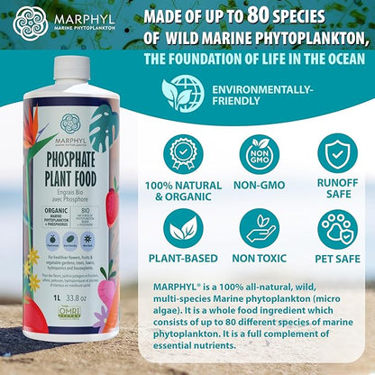 MARPHYL Organic Liquid Phosphate Soil Enhancer. Phosphorus Fertilizer for Garden, Flowers, Vegetables, Succulents, Bamboo, Hydroponics 16.9 oz