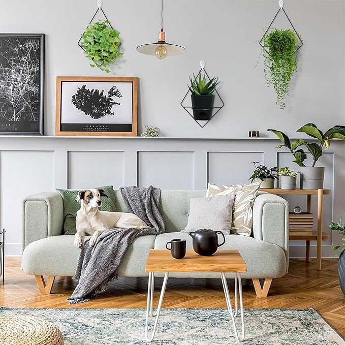 3 Sets Wall Planters for Indoor Plants Geometric Hanging Planters for Indoor Plants - Self-Watering Flower Pots with Black Metal Holder, Mounted Succulent Planter, 5" Black Plant Pot