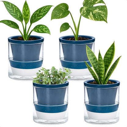 D'vine Dev 4 Inch Design Self Watering Planter for Indoor Plants, Blue Terracotta Pot with Cylinder Glass Cup, Set of 4, 37-Z-A-4-F