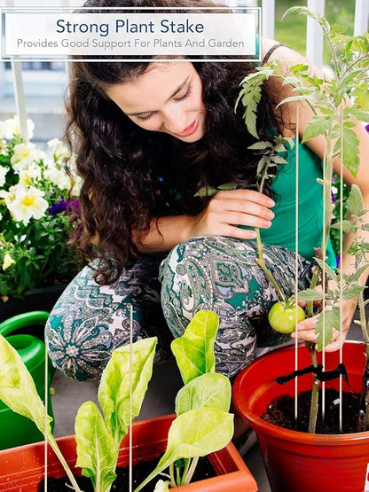 240 PCS Bamboo Marshmallow Roasting Sticks, SMores Skewers, Extra Long 25 Inch Heavy Duty 6mm Thick Wooden SMores Sticks for Open Fire Pits Roaster Barbecue Hot Dog Camping Kebab Sausage Plant Support