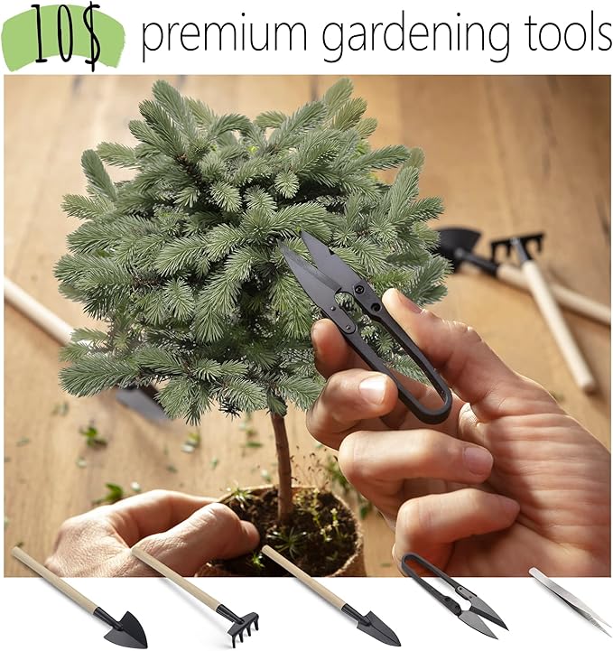 Bonsai Starter Kit – Growing Jacaranda Bonzai Tree | Complete Indoor Tree Kit for Growing Plants with Tools & Planter – Gardening Gifts for Mother, Women & Men