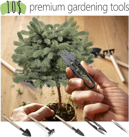Bonsai Starter Kit – Growing Jacaranda Bonzai Tree | Complete Indoor Tree Kit for Growing Plants with Tools & Planter – Gardening Gifts for Mother, Women & Men