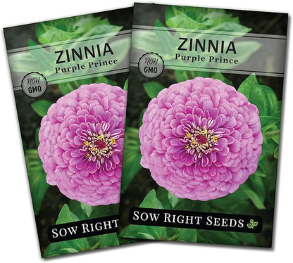 Sow Right Seeds - Purple Prince Zinnia Flower Seeds for Planting - Non-GMO Heirloom Seed - Heat & Drought Resistant - Huge Purple Blossoms - Beautiful to Plant in Your Garden - Cut and Come Again (2)