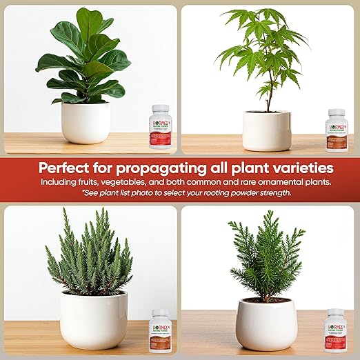 Hormex Rooting Powder #8, 16 (0.80-1.6 IBA) - Rooting Propagation Hormone for Semi-Hardwood to Hardwood Plants, Medicinal & Tree Cuttings - Root Stimulator for Plant Cloning - Maximum Growth Success