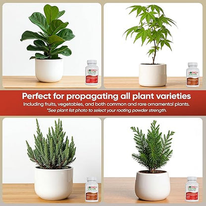 Hormex Rooting Powder #8, 16 (0.80-1.6 IBA) - Rooting Propagation Hormone for Semi-Hardwood to Hardwood Plants, Medicinal & Tree Cuttings - Root Stimulator for Plant Cloning - Maximum Growth Success