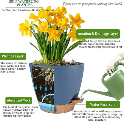 Self Watering Pots for Inoor Ourdoor Plants 8/7/6.5/6/5 Inch Plastic Planters with Drainage Holes & Water Level Indicator, Decorative House Flower Nursery Planting Pots with Saucers (Navy Blue)