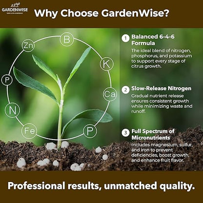 Professional Citrus Fertilizer + Vital Micronutrients; Perfect Balanced NPK for All Citrus; for Indoor and Outdoor Plants; Orange, Lime, Avocado and Lemon Tree Fertilizer (2 QUARTS)