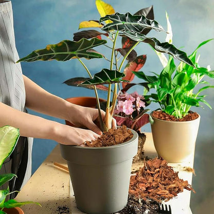 Halatool 8 Pcs Coco Husk Chips for Plants - 8.8 LB 100% Organic Coconut Coir Chips with Low EC and pH Balanced, Compressed Coco Substrate Growing Mulch Medium for Landscaping, Herbs, Plants, Flowers