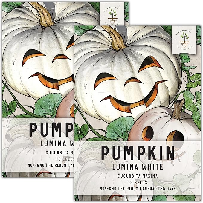Seed Needs White Pumpkin Seeds for Planting Lumina Pumpkins - Non-GMO Heirloom & Untreated Vegetable Seeds to Plant an Outdoor Pumokin Patch - Perfect for Carving (2 Packs)