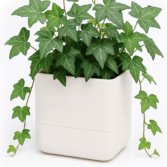 Phoenix Vine 6.5-Inch Wall Mounted Self-Watering Planter Pot for Indoor Houseplants and Herbs | Hanging Planter for Window Sills, Bathroom Walls, Home & Office Décor, Oatmeal, Set of 1, 01-WP-D-1