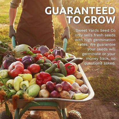 Organic Pumpkin Seeds Variety Pack - 6 Individual Packs - 2026 Season - Jack O' Lantern, Cinderella, Big Max and More! for Indoor & Outdoor Planting (Non-GMO, Certified Organic)