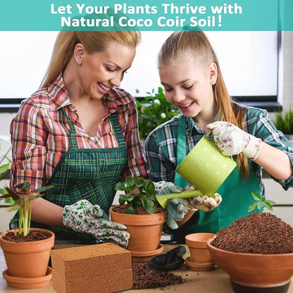 Legigo 10 Pack Premium Coco Coir Brick for Plants- 100% Organic Compressed Coconut Coir Bricks Starting Mix, Coco Coir Fiber Coconut Husk for Planting, Gardening, Potting Soil Substrate, Herbs