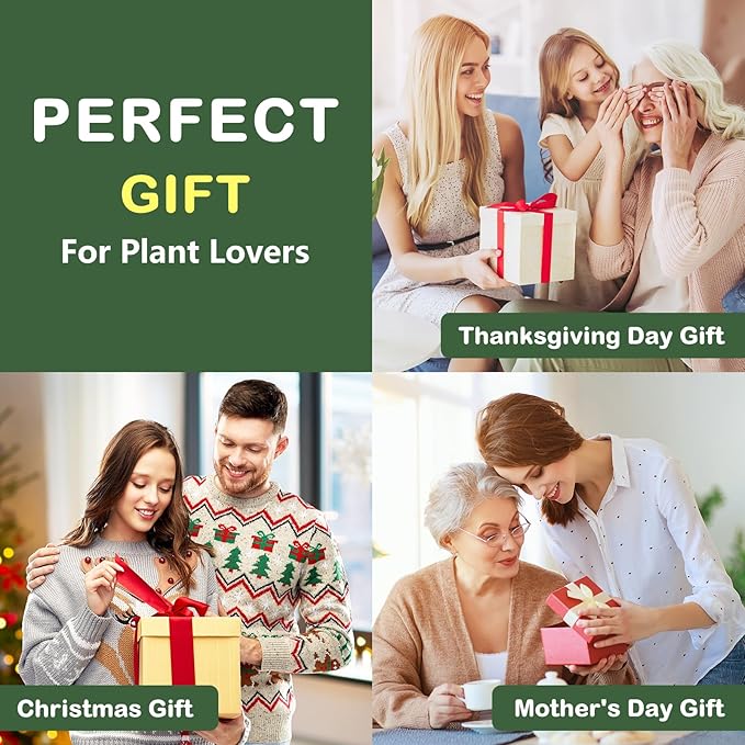 Bonsai Tree Kit, Complete Bonzai Tree Starter Kits with Tools, Unique Christmas Birthday DIY Gardening Gifts for Women Mom Men Grandkids, Crafts Hobby Kits, Grow Bonsai Tree Live Indoor