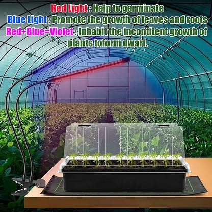 Seed Starter Tray with Grow Lights – 4 Pack Seedling Trays with 5" Humidity Domes & 4 LED Light Heads, Adjustable Timer, Full Spectrum for Indoor Germination, Herbs, Vegetables, Flowers