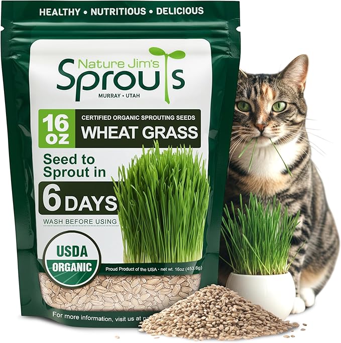 Nature Jims Sprouts Wheat Grass Seeds – Non-GMO Organic Seeds for Planting, Cat Grass Kit Planter & Sprouting –Resealable Bag for Fresh Wheatgrass Sprouts – Packed with Vitamins, Fiber & Minerals–16oz