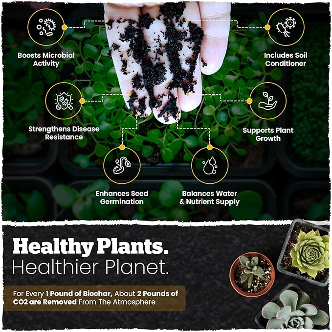 Wakefield Biochar Blend Potting Mix for Cactus & Succulent – Premium Potting Soil Blend with CarbonBoost Technology for Superior Drainage, Moisture Retention & Root Growth – 4 QT Organic Soil Mix