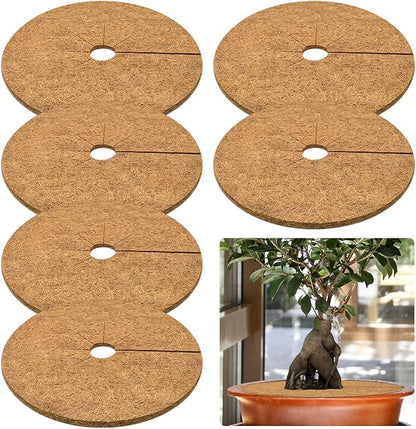 ZeeDix 6 Pack Coconut Fiber Mulch Ring, 24 Inch Coco Coir Tree Ring Mulch Mat, 100% Natural Tree Protector Mat Plant Cover Ring Coconut Coir Discs Tree Mats Mulch Rings for Indoor Outdoor Trees Plants